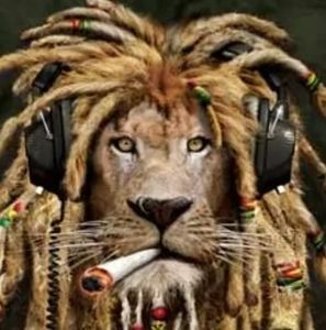 Meet your Posher, Elvin